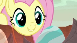 Size: 1920x1080 | Tagged: safe, screencap, fluttershy, pony, g4, sweet and smoky, egg, female, mare, solo