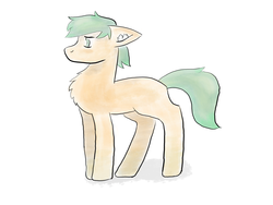 Size: 2250x1688 | Tagged: safe, artist:dumbprincess, earth pony, pony, chest fluff, full body, simple background, solo, white background
