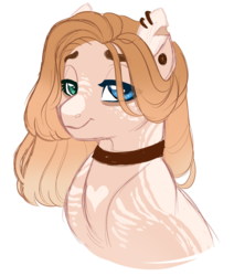 Size: 2065x2431 | Tagged: safe, artist:azure-art-wave, oc, oc only, oc:jaysey, pony, bust, coat markings, facial markings, female, heterochromia, high res, mare, portrait, simple background, snip (coat marking), solo, transparent background