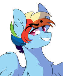 Size: 5000x6000 | Tagged: safe, artist:scarletskitty12, rainbow dash, pegasus, pony, g4, bust, eyebrows, eyebrows visible through hair, grin, male, portrait, rainbow blitz, rule 63, simple background, smiling, solo, stallion, white background