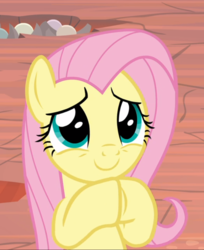 Size: 682x835 | Tagged: safe, screencap, fluttershy, pegasus, pony, g4, sweet and smoky, cropped, cute, female, hooves together, mare, raised hoof, shyabetes, smiling, solo
