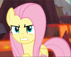 Size: 1177x941 | Tagged: safe, screencap, fluttershy, pegasus, pony, g4, sweet and smoky, angry, badass, cropped, determined, female, flutterbadass, gritted teeth, mare, solo