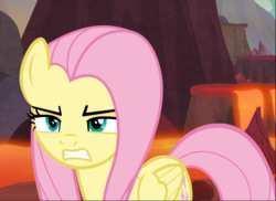 Size: 1293x939 | Tagged: safe, screencap, fluttershy, pegasus, pony, g4, sweet and smoky, angry, badass, cropped, determined, female, flutterbadass, gritted teeth, mare, narrowed eyes, solo