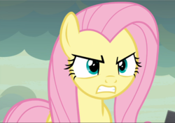 Size: 1330x940 | Tagged: safe, screencap, fluttershy, pegasus, pony, g4, sweet and smoky, angry, cropped, female, fluttershy is not amused, gritted teeth, looking at you, mare, solo, unamused