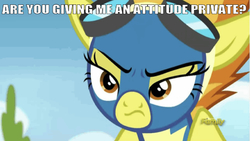 Size: 669x376 | Tagged: safe, edit, edited screencap, editor:undeadponysoldier, screencap, spitfire, pegasus, pony, g4, newbie dash, caption, clothes, discovery family logo, female, general, goggles, image macro, looking at you, mare, military, solo, spitfire is not amused, talking to viewer, text, tree, unamused, uniform, wonderbolts uniform
