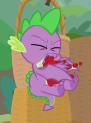Size: 239x321 | Tagged: safe, screencap, spike, dragon, g4, the point of no return, cropped, food, male, not blood, out of context, solo, tomato, winged spike, wings