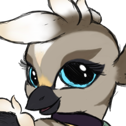 Size: 512x512 | Tagged: safe, artist:trefoiler, oc, oc only, oc:aranth, hippogriff, bust, choker, female, icon, looking at you, looking back, looking back at you, portrait, simple background, solo, transparent background