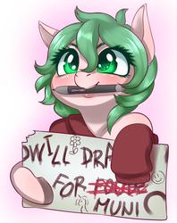 Size: 1988x2504 | Tagged: safe, artist:dankflank, oc, oc only, oc:dankflank, earth pony, pony, clothes, earth pony oc, mouth hold, sign, solo, stylus, will x for y