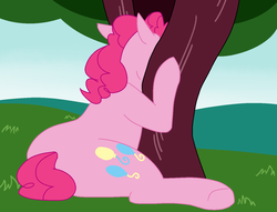 Size: 1390x1061 | Tagged: safe, artist:/d/non, pinkie pie, earth pony, pony, g4, balloonbutt, butt, female, horses doing horse things, mare, plot, ponified animal photo, silly, silly pony, stuck, tree