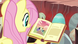 Size: 1920x1080 | Tagged: safe, screencap, fluttershy, pony, g4, sweet and smoky, book, egg, female, mare, solo, unnamed character, unnamed pony