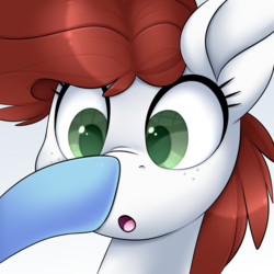 Size: 3000x3000 | Tagged: safe, artist:scarlet-spectrum, oc, oc only, oc:aurora breeze, oc:graph travel, pegasus, pony, :o, boop, female, freckles, high res, mare, open mouth, simple background, surprised