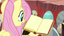 Size: 1920x1080 | Tagged: safe, edit, edited screencap, screencap, fluttershy, pony, g4, sweet and smoky, book, egg, female, meme template, solo, template