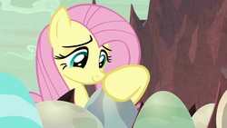 Size: 1920x1080 | Tagged: safe, screencap, fluttershy, pony, g4, sweet and smoky, cute, egg, female, happy, mare, shyabetes, solo