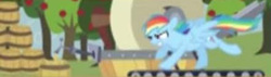 Size: 441x126 | Tagged: safe, artist:egophiliac, rainbow dash, pony, game:the super speedy cider squeezy 6000, g4, the super speedy cider squeezy 6000, apple tree, barrels, female, low quality, running, solo, treadmill, tree