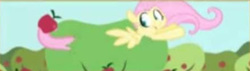 Size: 448x128 | Tagged: safe, artist:egophiliac, fluttershy, pony, game:the super speedy cider squeezy 6000, g4, the super speedy cider squeezy 6000, apple, apple tree, cute, female, fluttertree, food, low quality, solo, tail wrap, tree