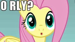 Size: 300x168 | Tagged: safe, edit, edited screencap, screencap, fluttershy, pegasus, pony, dragonshy, g4, cute, female, meme, o rly, reaction image, solo, text