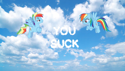 Size: 852x480 | Tagged: safe, artist:frownfactory, artist:trotsworth, rainbow dash, pony, g4, cloud, cloud words, crossed arms, dissonant caption, female, irl, looking at words, male, photo, ponies in real life, rainbow blitz, rule 63, self ponidox, selfcest, ship:dashblitz, shipping, straight, text, unamused, vector, you suck
