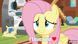 Size: 640x360 | Tagged: safe, edit, edited screencap, screencap, fluttershy, butterfly, pegasus, pony, fluttershy leans in, animated, bronybait, caption, cute, daaaaaaaaaaaw, female, floppy ears, fluttershy's cottage, gif, gifs.com, happy, heart, hnnng, i love you, mare, shyabetes, smiling, solo, weapons-grade cute, wide eyes