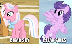 Size: 751x466 | Tagged: safe, edit, edited screencap, screencap, clear skies, clear sky, pegasus, pony, unicorn, common ground, g4, tanks for the memories, bandana, caption, comparison, cropped, female, flying, image macro, know the difference, mare, neckerchief, solo focus, text