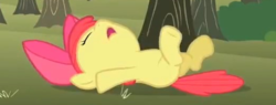 Size: 522x198 | Tagged: safe, screencap, apple bloom, earth pony, pony, g4, season 2, the super speedy cider squeezy 6000, butt, cropped, eyes closed, fainted, female, filly, foal, on back, plot, solo