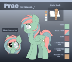 Size: 2571x2210 | Tagged: safe, artist:confetticakez, oc, oc only, oc:praetorianoverlord, pegasus, pony, blind eye, color palette, commission, cute, eye scar, genderfluid, gradient background, heterochromia, high res, reference sheet, scar, solo