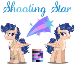 Size: 2550x2200 | Tagged: safe, artist:gihhbloonde, oc, oc only, oc:shooting star, pegasus, pony, base used, duo, high res, looking back, male, offspring, parent:flash sentry, parent:twilight sparkle, parents:flashlight, reference sheet, simple background, stallion, transparent background