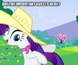 Size: 601x500 | Tagged: safe, edit, edited screencap, screencap, rarity, pony, unicorn, a canterlot wedding, g4, caption, cropped, derp, female, hat, image macro, solo, text