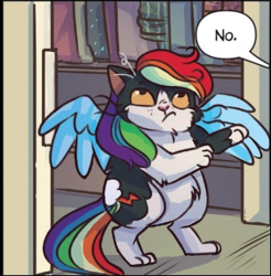 Size: 309x314 | Tagged: safe, rainbow dash, cat, g4, clothes, comic, cosplay, costume, crossover, female, grumpy cat and pokey, pony reference, solo, speech bubble, wig, wings