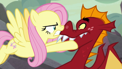 Size: 1920x1080 | Tagged: safe, screencap, fluttershy, garble, dragon, pegasus, pony, g4, sweet and smoky, angry, duo, face grab, female, flutterrage, male, mare, nose to nose, nose wrinkle, this will end in pain, you dun goofed