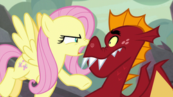 Size: 1920x1080 | Tagged: safe, screencap, fluttershy, garble, dragon, pegasus, pony, g4, sweet and smoky, female, male, mare, now you fucked up