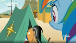 Size: 1644x931 | Tagged: safe, screencap, quibble pants, rainbow dash, earth pony, pegasus, pony, common ground, g4, appleloosa, butt, discovery family, eyes on the prize, female, looking at butt, mare, out of context, plot, quibble butts, tent