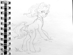 Size: 2560x1920 | Tagged: safe, artist:gitttic, roseluck, earth pony, pony, g4, collar, commissioner:doom9454, cute, female, looking back, mare, monochrome, pet tag, pony pet, rosepet, solo, traditional art, windswept mane