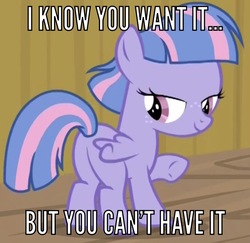 Size: 834x812 | Tagged: safe, edit, edited screencap, screencap, wind sprint, pegasus, pony, common ground, g4, season 9, bedroom eyes, butt, caption, cropped, female, filly, foal, freckles, image macro, implied foalcon, looking at you, looking back, looking back at you, plot, raised hoof, seductive, seductive look, seductive pose, smiling, solo, text, this will not end well