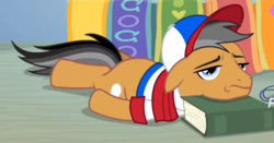 Size: 1142x597 | Tagged: safe, screencap, quibble pants, earth pony, pony, common ground, g4, baseball cap, book, cap, hat, lying down, male, prone, solo, sploot, stallion