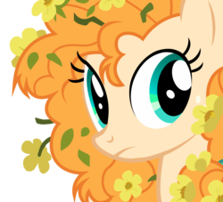 Size: 7700x7000 | Tagged: safe, artist:igokapichka, pear butter, earth pony, pony, g4, the perfect pear, beautiful, bust, cute, female, flower, flower in hair, frown, mare, messy mane, pearabetes, simple background, solo, transparent background, vector