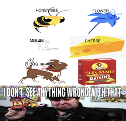 Size: 651x624 | Tagged: safe, editor:undeadponysoldier, winona, bee, dog, human, mouse, undead, g4, cheese, female, flower, food, foodfight!, honey bee, i don't see anything wrong with that, irl, irl human, jontron, meme, photo, poison joke, raisins, sun-maid, sun-maid raisins, wrong aspect ratio, youtuber