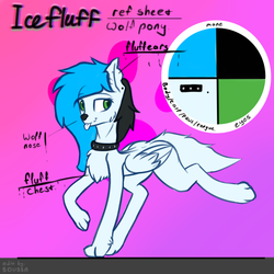 Size: 1000x1000 | Tagged: safe, artist:endelthepegasus, oc, oc only, oc:icefluff, pegasus, pony, wolf, chest fluff, collar, ear fluff, female, paws, reference sheet, solo, tongue out