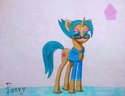Size: 1167x896 | Tagged: safe, artist:dialysis2day, oc, oc only, oc:penny, pony, unicorn, clothes, female, jacket, mare, solo, sunglasses, traditional art