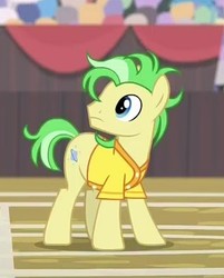 Size: 318x396 | Tagged: safe, screencap, saturn (g4), earth pony, pony, common ground, g4, background pony, buckball uniform, clothes, cropped, jersey, las pegasus resident, male, solo, stallion