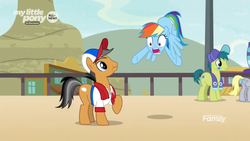 Size: 1366x768 | Tagged: safe, screencap, rainbow dash, earth pony, pegasus, pony, common ground, g4, baseball cap, cap, clothes, discovery family logo, female, hat, male, mare, scarf, shirt, shocked, sports fan, stallion, surprised, towel