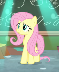 Size: 475x576 | Tagged: safe, screencap, fluttershy, pony, g4, teacher of the month (episode), spoiler:interseason shorts, animated, animated png, classroom, cute, female, hoof tapping, party soft, shyabetes, solo, tapping