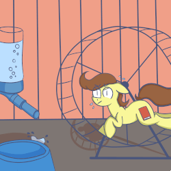 Size: 2000x2000 | Tagged: safe, artist:nevermore228, oc, oc only, oc:tomson, pony, animated, cage, gif, hamster wheel, high res, micro, tiny, tiny ponies