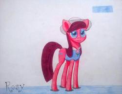 Size: 1140x878 | Tagged: safe, artist:dialysis2day, oc, oc only, oc:rosy, earth pony, pony, clothes, female, hat, mare, shirt, solo, traditional art