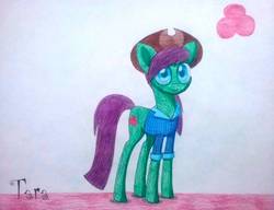 Size: 1179x904 | Tagged: safe, artist:dialysis2day, oc, oc only, oc:tara, earth pony, pony, clothes, female, hat, mare, shirt, solo, traditional art