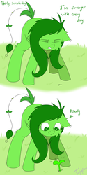 Size: 3000x6000 | Tagged: safe, artist:fajnyziomal, oc, oc only, oc:świstek, plant pony, pony, comic:świstek, cheek fluff, comic, curly eyelashes, ear fluff, eyes closed, female, gritted teeth, hooves, howdy, leg fluff, looking at something, mare, scrunchy face, solo, sprout, sprouting
