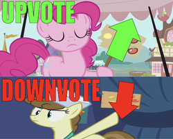 Size: 668x535 | Tagged: safe, edit, edited screencap, editor:undeadponysoldier, screencap, pinkie pie, roma, earth pony, pony, g4, putting your hoof down, arrow, caption, downvote, eyes closed, female, fighting over opinions, funny, hat, image macro, mare, market, pointing, ponyville, sign, text, upvote, voting, wrong aspect ratio