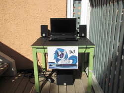 Size: 1600x1200 | Tagged: safe, dj pon-3, vinyl scratch, pony, g4, computer, irl, laptop computer, party, photo, room, speaker, toshiba, toshiba satellite