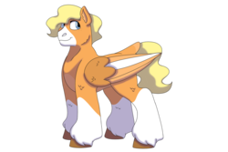 Size: 1280x854 | Tagged: safe, artist:itstechtock, oc, oc only, oc:sketch a. doodle, pegasus, pony, female, mare, simple background, solo, transparent background