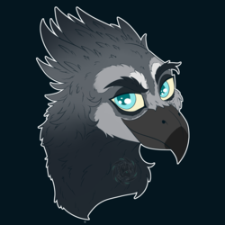Size: 3000x3000 | Tagged: safe, artist:fkk, oc, oc only, griffon, birb, bust, commission, high res, male, portrait, solo