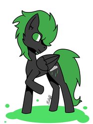 Size: 1536x2048 | Tagged: safe, artist:schuettnicole, oc, oc only, oc:villainshima, pegasus, pony, cute, fluffy, simple background, solo